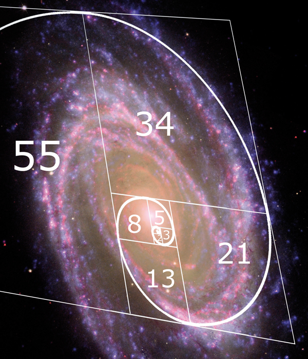 FIBONACCI tra le galassie FIBONACCI tra le galassie