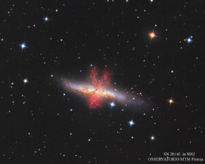 SN2014J in M82 Marco Burali
