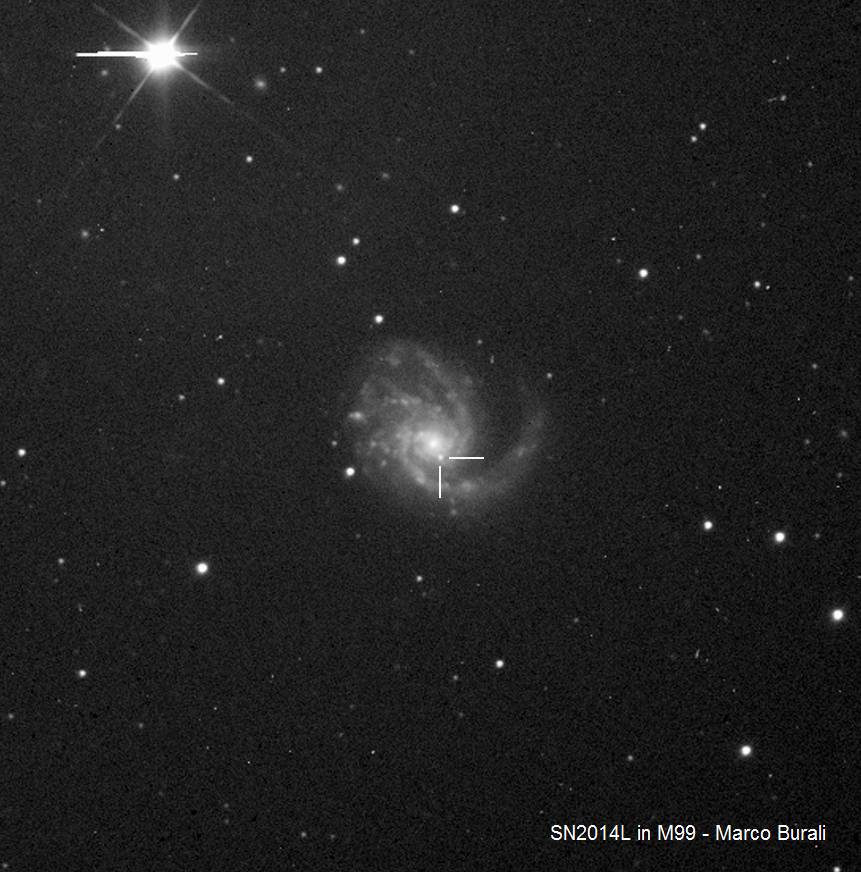 SN2014L in M99