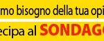 banner sondaggio giallo