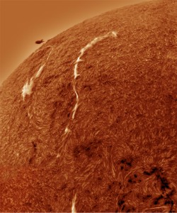 solar nirvana albarello
