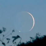La Luna -quasi sul filo dell’orizzonte- occulterà Saturno