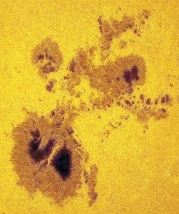 macchia fidone