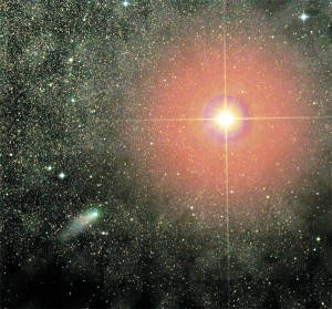 marte e cometa ligustri