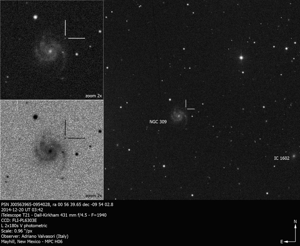 1) SN_NGC309