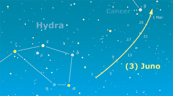 Asteroidi
