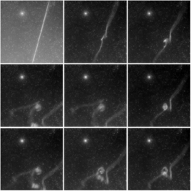 Hans-Hopf-compo_1426536416_lg