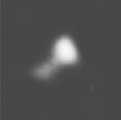 plutoEcharon by medugno