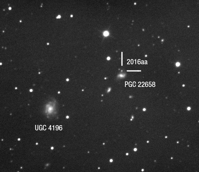 Supernovae