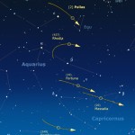 Asteroidi