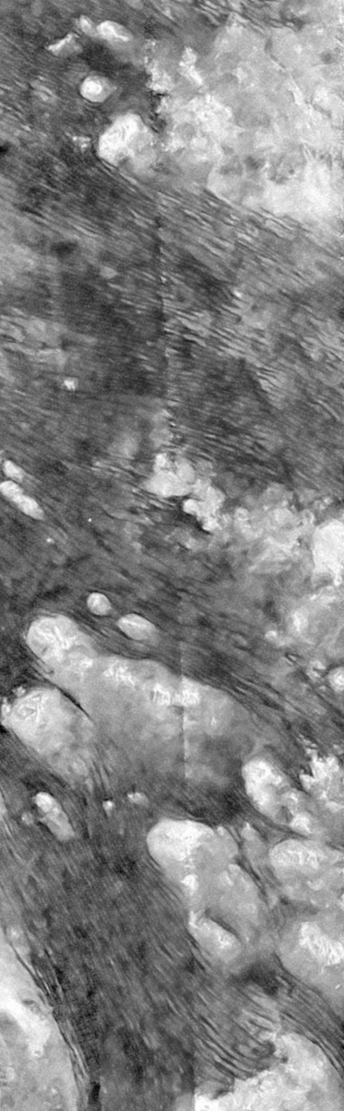 a703927d27a1242e1e6d33b8b1ba0378_XL verticale