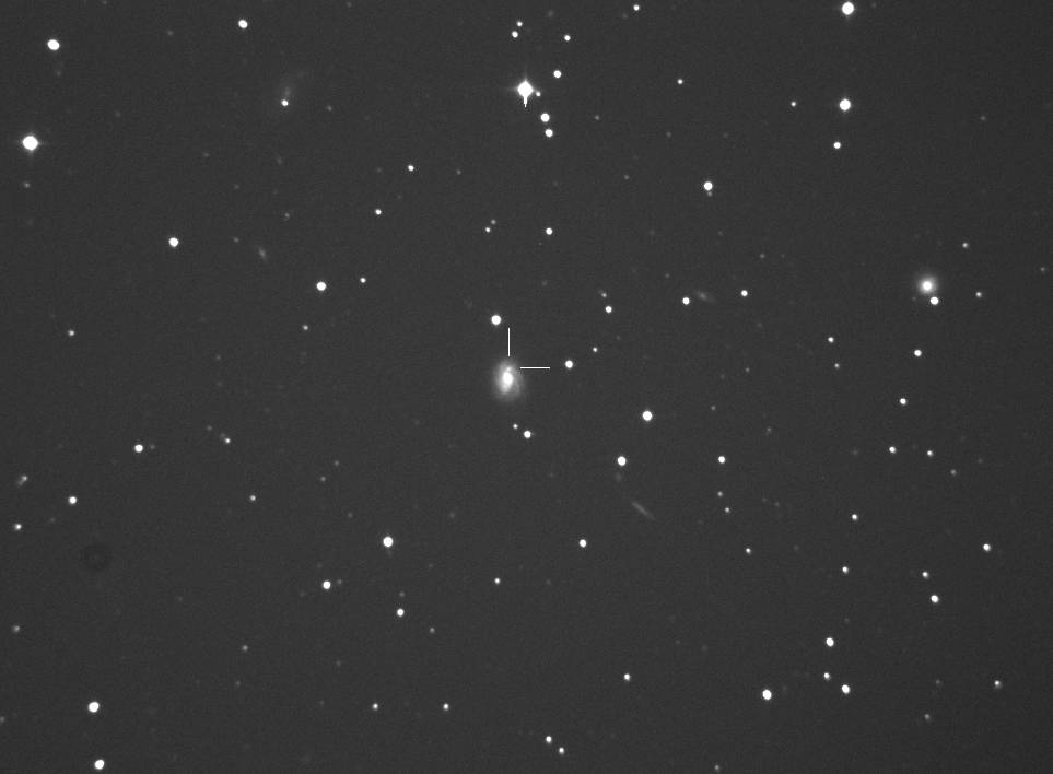 Una rara supernova nel Cielo Autunnale Una rara supernova nel Cielo Autunnale