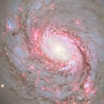 Dazzling galaxy Messier 77