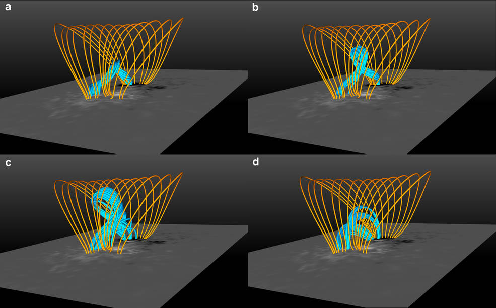 cageropemodel