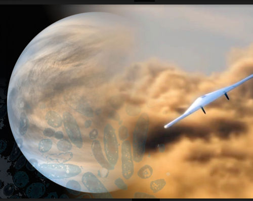 C’è Vita tra le nuvole di Venere?