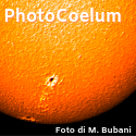 NL Photocoelum