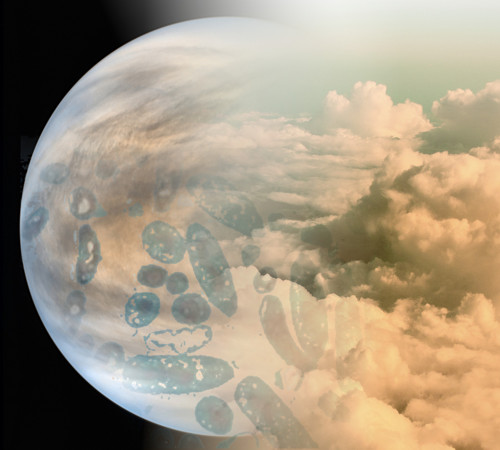 Fosfina nell’atmosfera di Venere: possibile indicatore della presenza di vita?