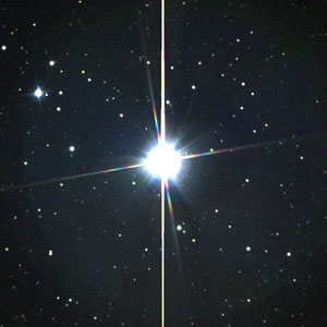 Tra le stelle dei Cani Tra le stelle dei Cani