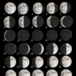 Luna gennaio