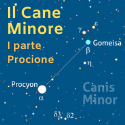 Cane minore Procione i parte