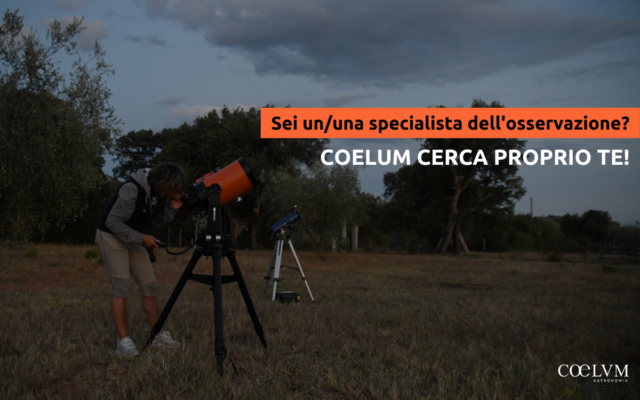 Sei ununa specialista dell'osservazione