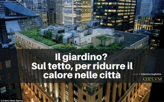 Il giardino Sul tetto, per ridurre il calore nelle città