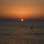 17949304912964539_coelum_astronomia