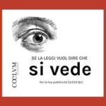 formato post e news SI VEDE 300 × 250 px