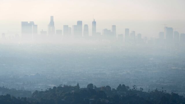 1-MAIA-Los-Angeles-16.width-1320