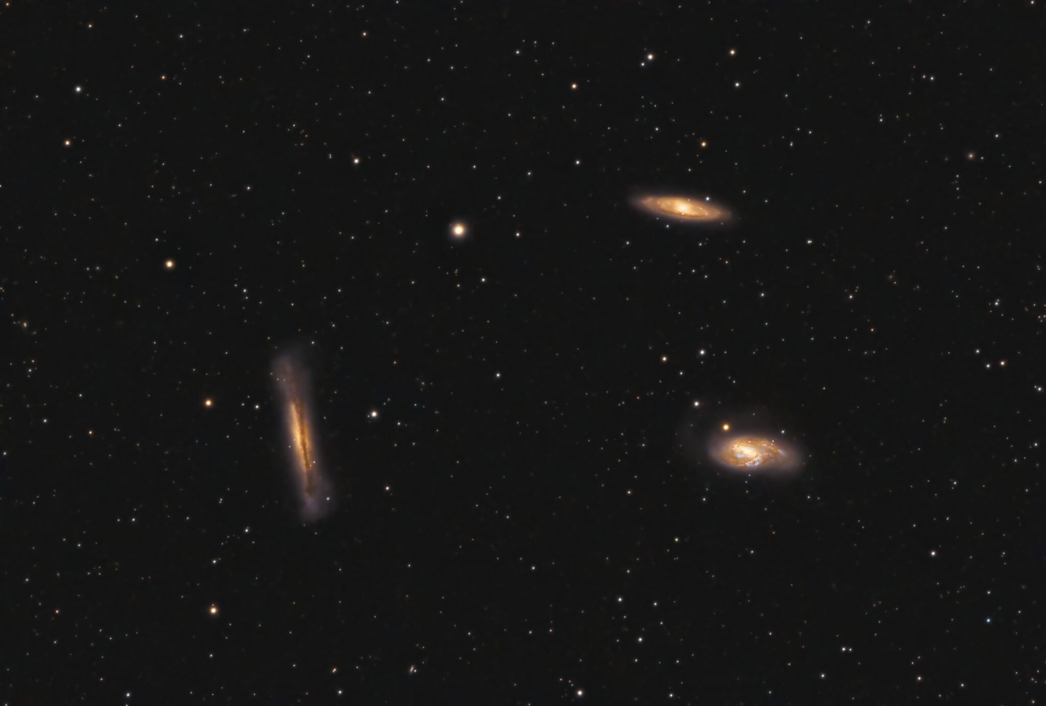 La Costellazione Del Leone Coelum Astronomia