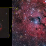 ShaRA#4.1_GUM14-15+HE2-11_rid