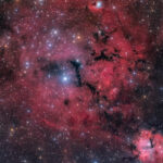 ShaRA#4.1_GUM14-15_logo_rid