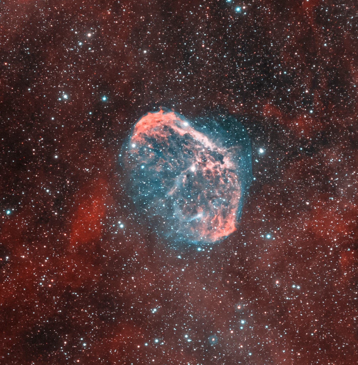 Nebulosa Crescent nella Costellazione del Cigno
