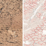 1661_PIA25915_FigureB-web