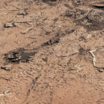 1662_PIA25915_FigureA-web