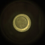 CCF_0882_0745260582_981ECMUN0430000CACH00222_01_295J01