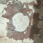 SIF_0859_0743201724_742EBY_N0420000SRLC02504_0000LMJ01