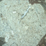 SIF_0859_0743227774_921EBY_N0420000SRLC08027_0000LMJ02