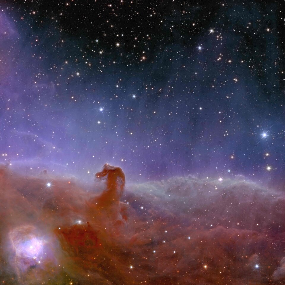 Grandi conquiste dello spazio Euclid_s_view_of_the_Horsehead_Nebula_article