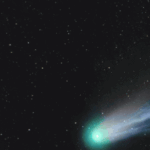 COELUM 267 300 x 600 px