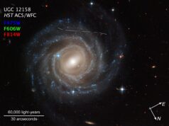 Anche Hubble per la caccia agli asteroidi