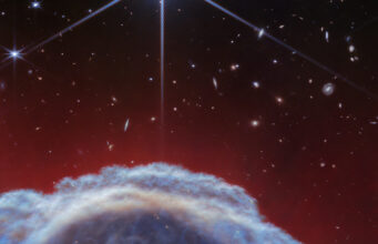 Webb cattura l’iconica Nebulosa Testa di Cavallo