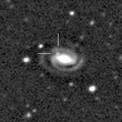 supernovae aggiornamenti