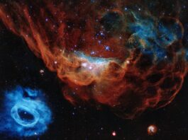 Astrofisica: cosa studia e come specializzarsi astrofisica ngc2020 e ngc2014