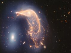 Due anni di JWST in regalo Arp 142 Arp 142 Webb