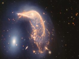 Arp 142 Webb