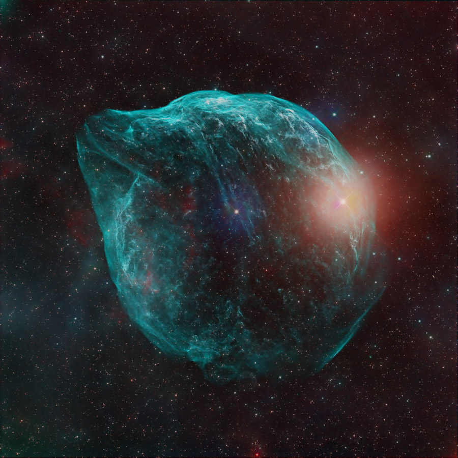 ShaRA#8.1 &ndash; Il Delfino Bertocco