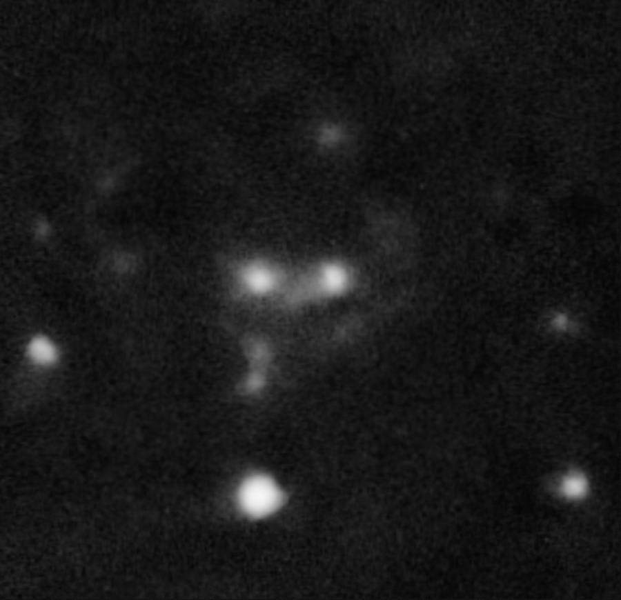 Chesire Cat - Stregatto