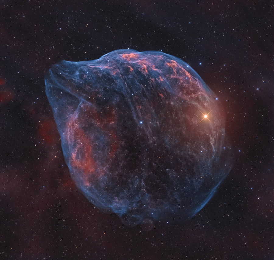 ShaRA#8.1 &ndash; Il Delfino DiFusco