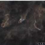 Immagine 2024-07-31 160302